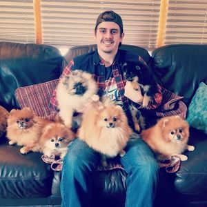 Meet your Posher, Dylan